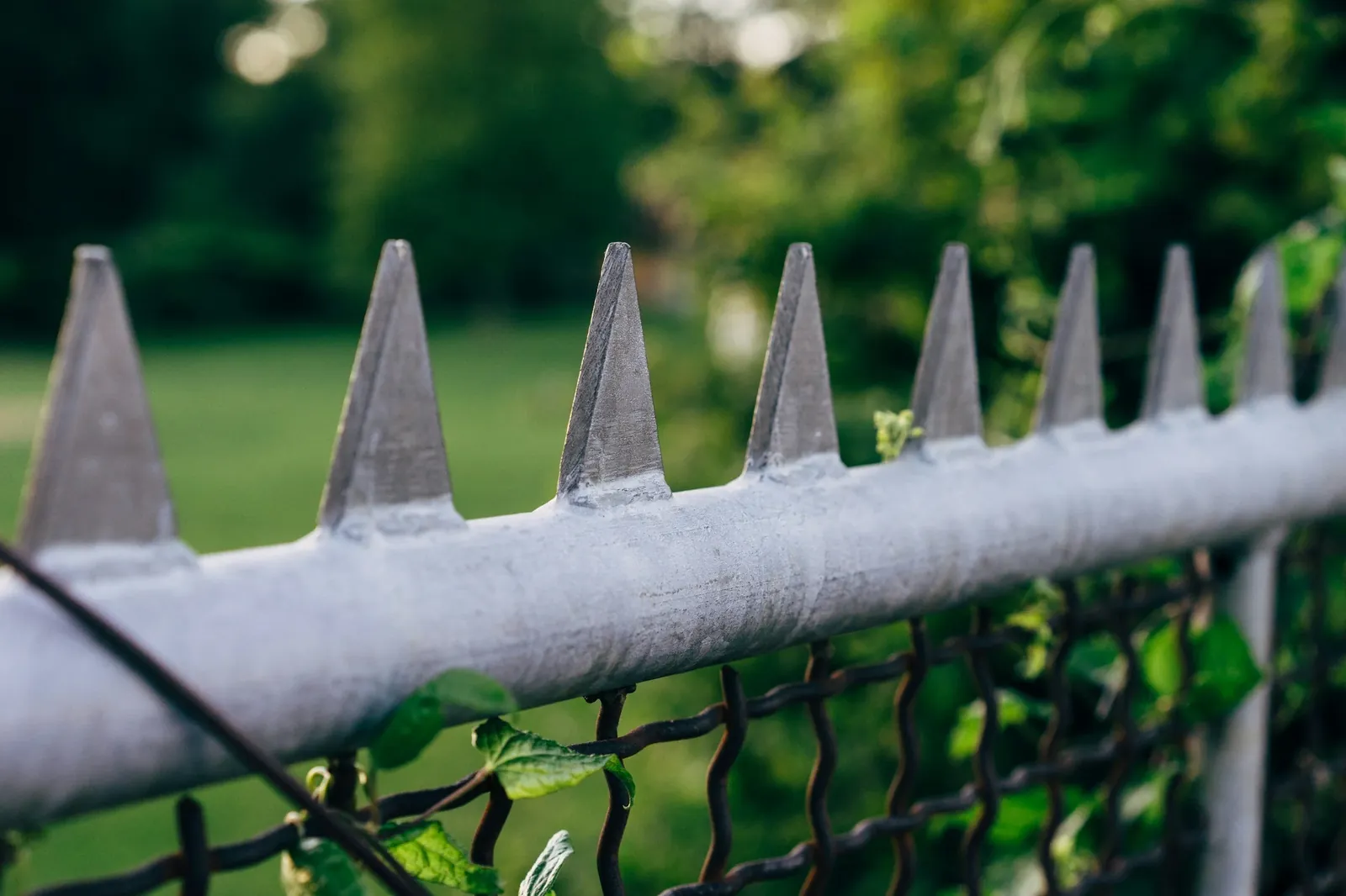 When Life Feels Out of Control: Why We Need Boundaries
